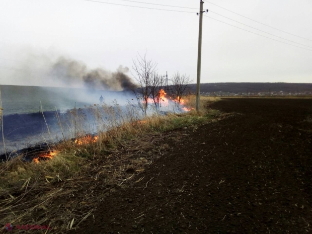 VIDEO // ZECI de INCENDII, zilnic în R. Moldova: Aproape 4 000 de hectare de pământ afectate de la începutul primăverii