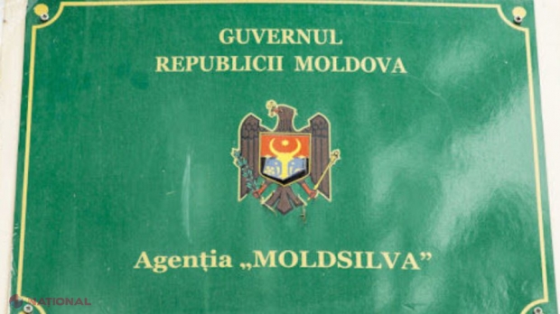 Braconierii fac ravagii în Rezervația ,,Plaiul Fagului”! Reacția dură a ,,Moldsilva