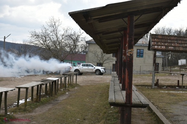 Măsuri drastice împotriva răspândirii pestei porcine și comerțului ilicit de carne în R. Moldova