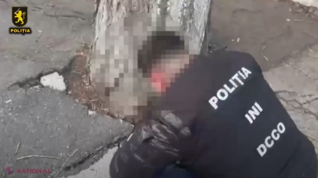 Rețea de trafic de droguri, anihilată: un curier a fost arestat și riscă până la 15 ani de ănchisoare!