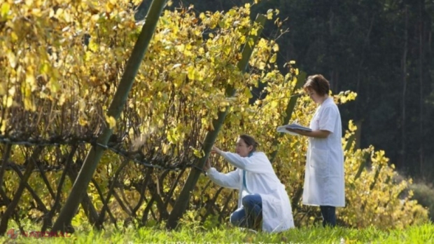 Ministerul Agriculturii învestește în viitorul educației agricole: milioane de euro pentru modernizarea școlilor din R. Moldova
