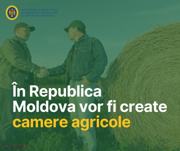 Nouă eră pentru agricultură: Parlamentul Republicii Moldova dă undă verde camerelor agricole