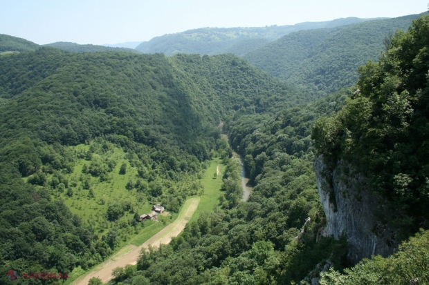 România și alte 10 țări cer UE să relaxeze legislația privind defrișările până în 2025