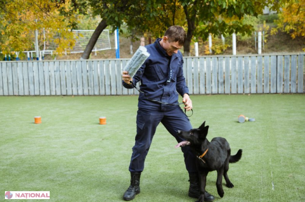 Ghera și Turbo, la Poliția de Frontieră