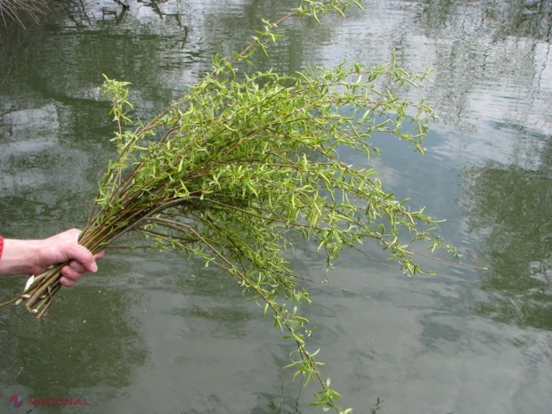 Tradiţii şi SUPESTITII în ziua de Florii 