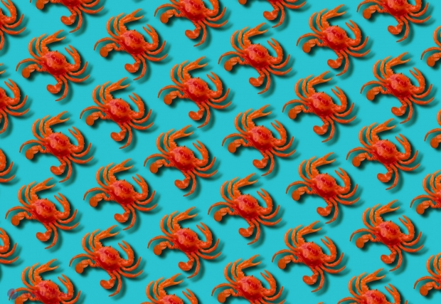 Meta cumpără Moltbook, rețeaua socială de agenți AI care a devenit virală din cauza postărilor false