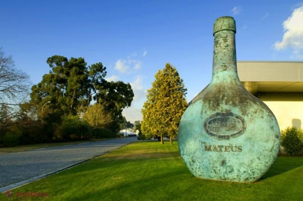 Unde se produce cel mai BUN vin din lume