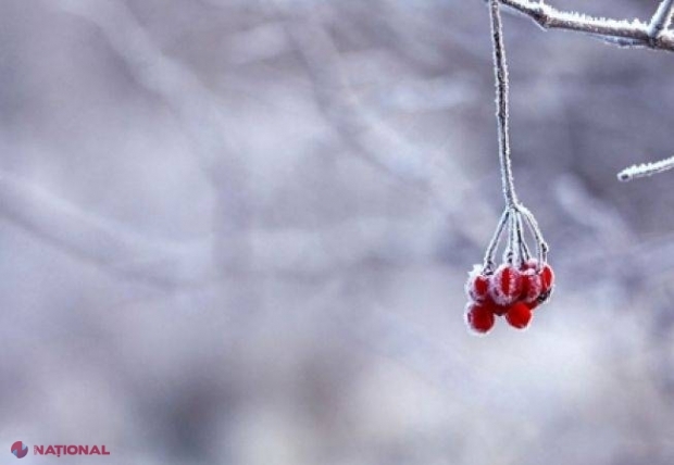 METEO // Un nou Cod galben de ÎNGHEȚURI în R. Moldova