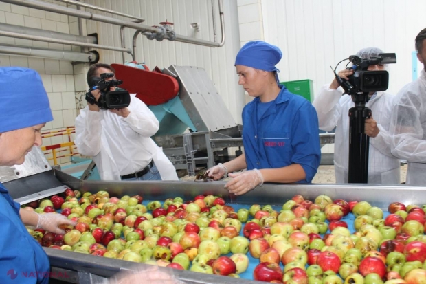 „Orhei-Vit” procesează o cantitate DUBLĂ de fructe, datorită unei investiții de cinci MILIOANE de euro
