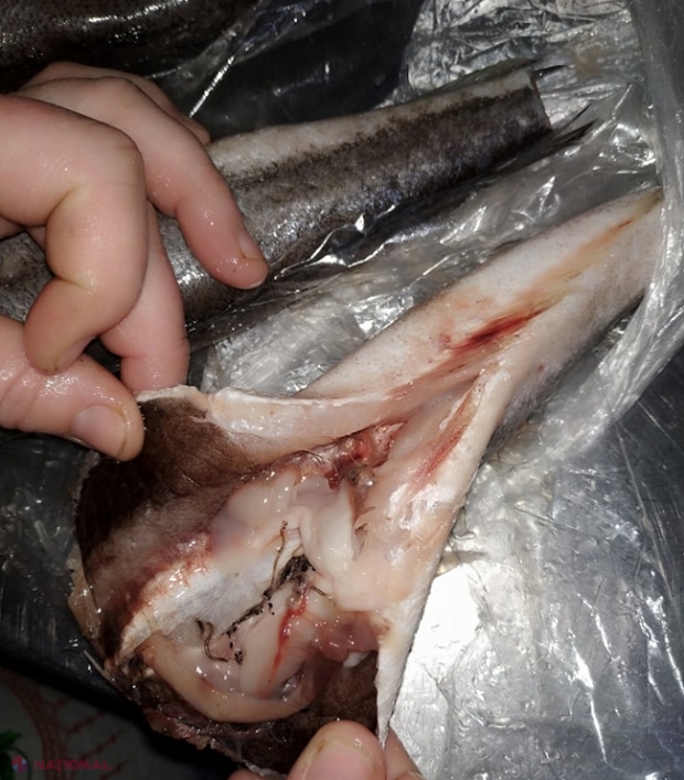 FOTO // Pește cu PARAZIȚI, depistat la mai multe școli din raionul Hâncești