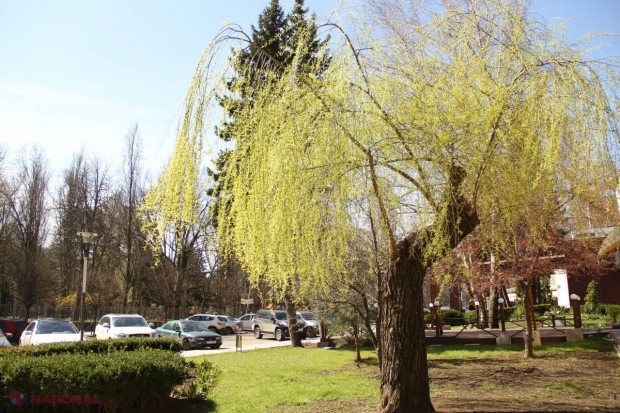 METEO // Vești bune pentru zilele de PAȘTI