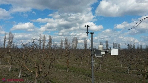 Fermierii solicită de la Guvern DESPĂGUBIRI: „Câte zece mii de lei pentru fiecare hectar”