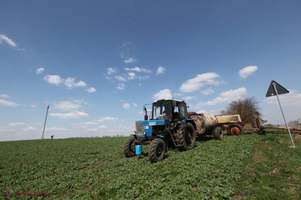 Agricultorii, ALARMAȚI: „Suntem din nou în pericol”