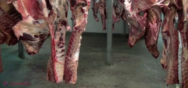 Leșurile de animale nu vor mai fi aruncate la nimereală pe teritoriul R. Moldova: Parlamentul a decis alocarea unui teren pe care va fi construită o stație de gestionare a produselor de origine animală care nu sunt destinate consumului uman