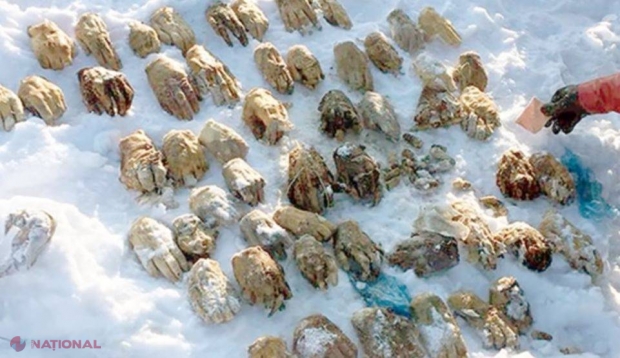 VIDEO // Descoperire ŞOCANTĂ! Iniţial a fost descoperită o singură mână, dar surpriza cu adevărat MACABRĂ a venit în scurt timp. Poliţiştii se confruntă cu cel mai greu caz