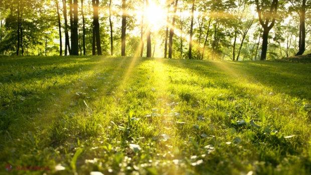 RECORD // Plus 74 de grade Celsius, înregistrate în R. Moldova: Unde și când a fost fixată temperatura