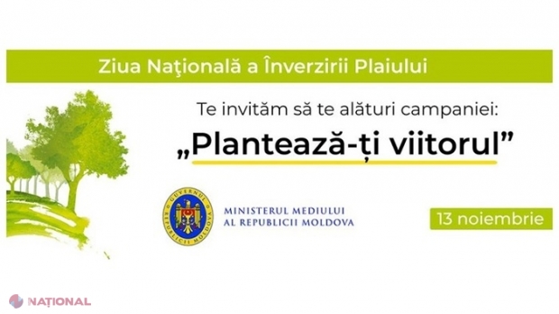 Angajați din zeci de instituții publice vor planta, la sfârșitul săptămânii, pomi în cadrul CAMPANIEI de înverzire, lansată de Ministerul Mediului: Cinci milioane de puieți, 30 de tone de ghindă și 580 de hectare regenerate