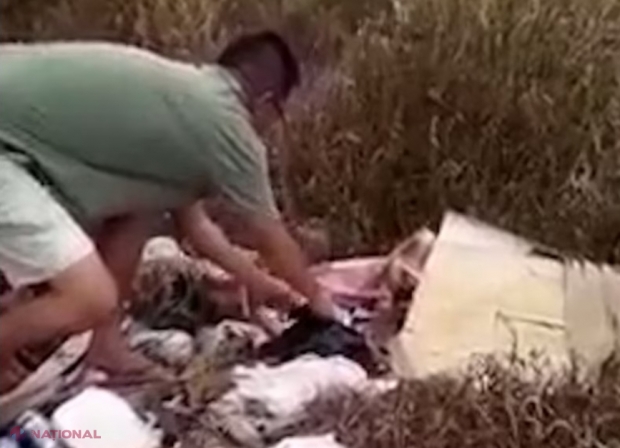 VIDEO // O fetiță nou-născută a fost găsită în VIAȚĂ, după ce a fost aruncată la gunoi: „Era încă în viață, așa că a fost dusă la spital, unde asistentele o îngrijesc”
