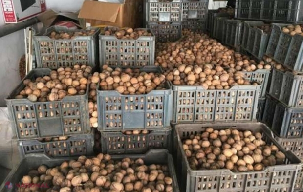 Agenții economici care vor procura direct de la populație produse agricole, inclusiv nuci, vor trebui să plătească 5% impozit în bugetul de stat 