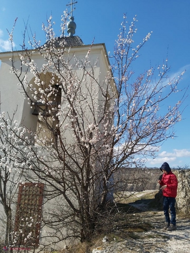 METEO // SCĂDERE BRUSCĂ a temperaturilor cu 13 grade Celsius și NINSORI în R. Moldova