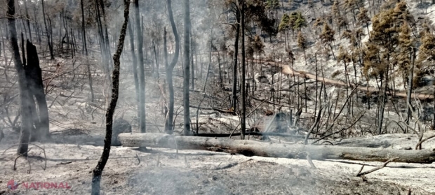 Aproape 50 de grade, temperatură-RECORD în Europa. Valul de caniculă lovește Italia, Spania, Grecia și Portugalia