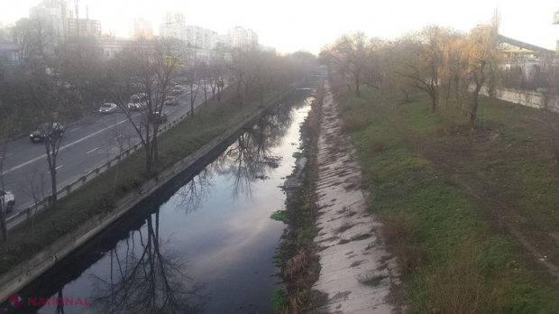FOTO // Cadavrul unui bărbat, găsit în râul Bâc