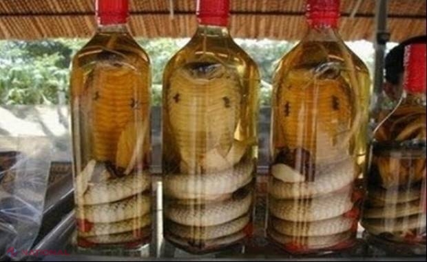 O femeie a ţinut un şarpe în alcool timp de 3 luni! CE A FACUT ȘARPELE când a desfăcut sticla