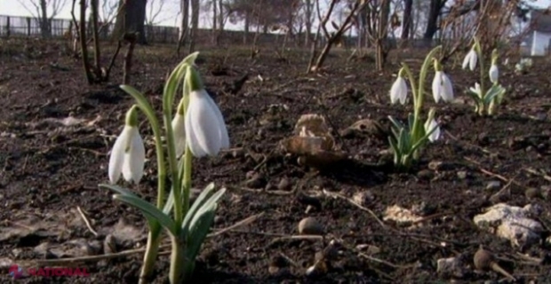 METEO // Sfârșit de februarie cu până la plus 13 grade Celsius: Ce temperaturi vom avea la începutul primăverii