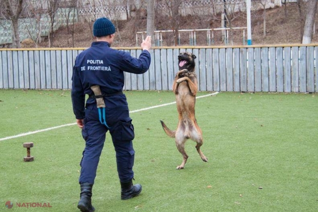 Poliţiştii de frontieră îşi întăresc forţele. Începând de astăzi, au NOI colegi de serviciu