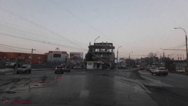 POZA ZILEI // Brad ÎMPODOBIT la Chișinău, în pragul primăverii