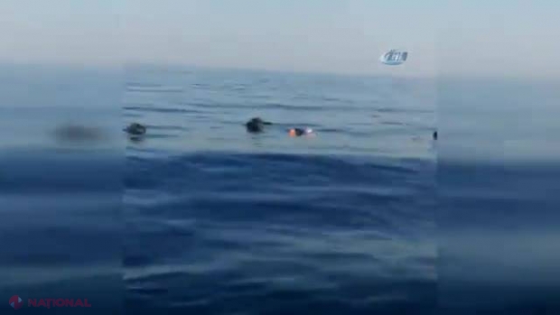 VIDEO care a SCANDALIZAT o lume întreagă. Este INUMAN ce au făcut