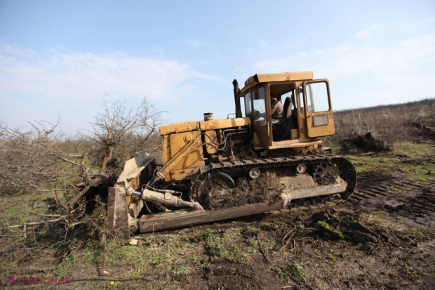 Agricultorii din Dubăsari amenință să BLOCHEZE vămile transnistrenilor! Vezi REACȚIA autorităților de la Chișinău