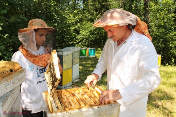 Profit „dulce” la Hulboaca