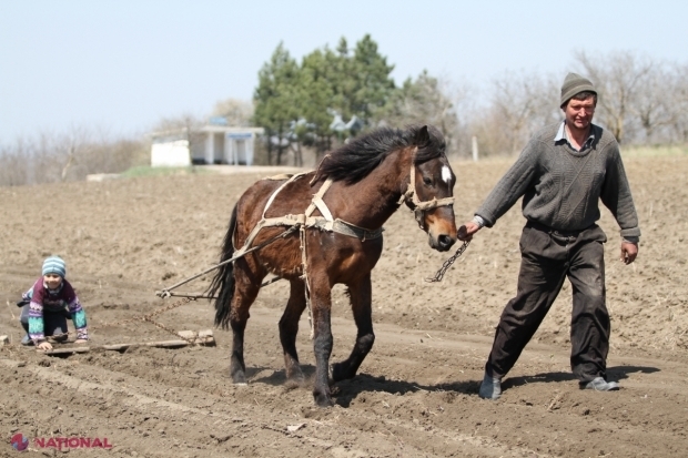 IMPORTANT pentru întreprinderile mici și gospodăriile individuale din R. Moldova: Băncile vor acorda mai multe credite în monedă NAȚIONALĂ