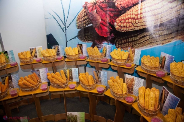 Cercetătorii moldoveni au obținut medalia de AUR la un concurs internațional de INOVAȚIE