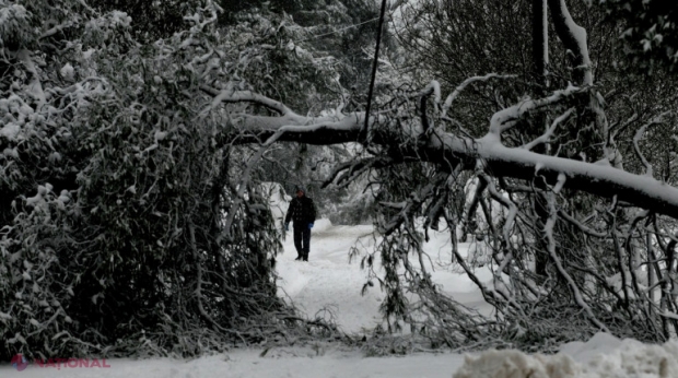 Grecia, lovită de cel mai puternic episod de iarnă din ultimii ani. Ninsori abundente și la Istanbul