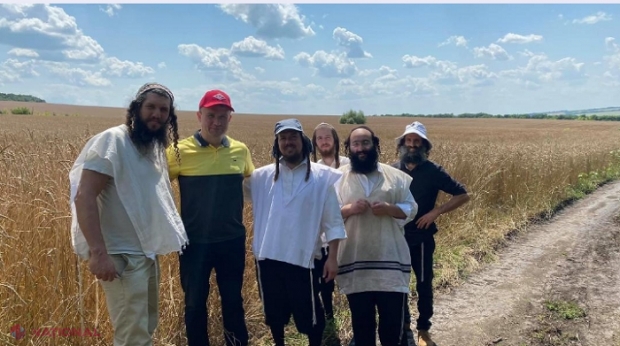 PREMIERĂ //  Semințe decojite de SPELTĂ, exportate în Israel de către fermieri din R. Moldova: Sunt destinate bucătăriei kosher