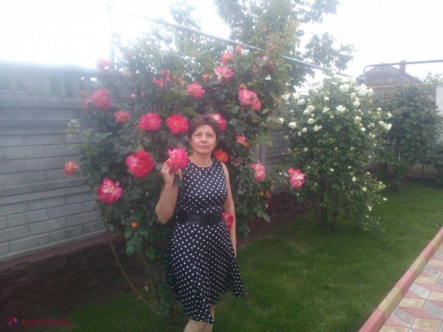 IDEI // Grădina cu trandafiri, plăcere și folos