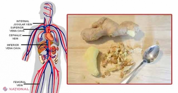 Transformările INCREDIBILE care au loc în organism odată ce începi să consumi ghimbir