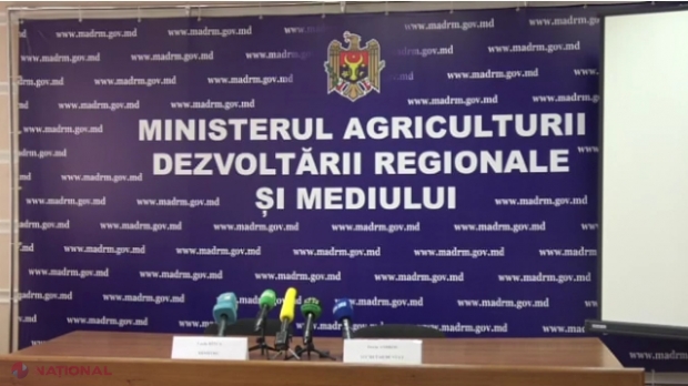 RAPORT al Curții de Conturi: Un minister din R. Moldova nu-și gestionează corect bunurile