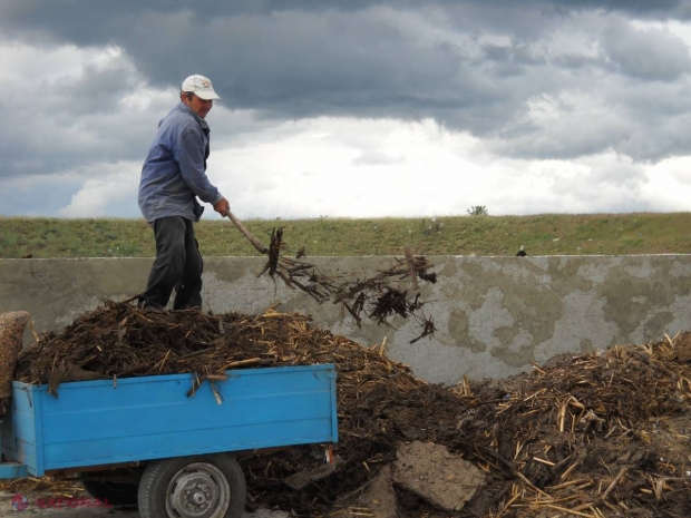 SFAT // Fertilizarea este hrana solului. Alimentați-l corect