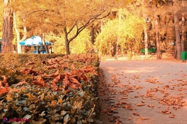 METEO // Vreme destul de răcoroasă în următoarele zile, mai ales pe timp de noapte
