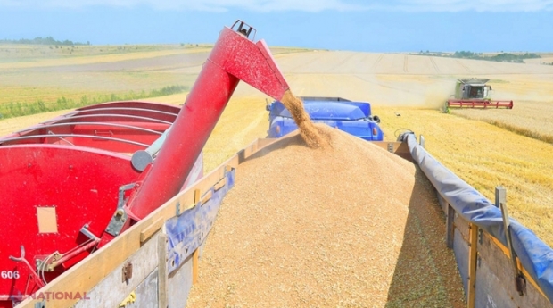 România, cel mai mare exportator de grâu din UE