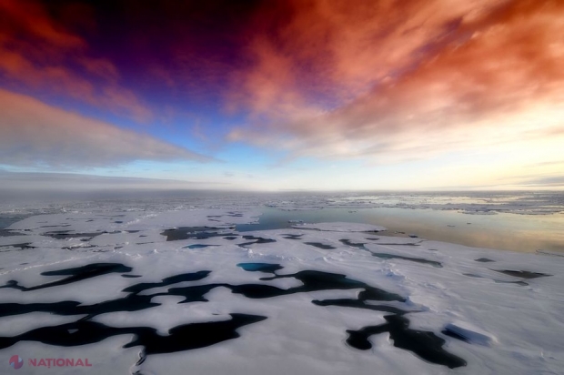 Descoperire INCREDIBILĂ sub Antarctica, unul dintre cele mai friguroase locuri de pe TERRA. „Este o adevărată LUME”