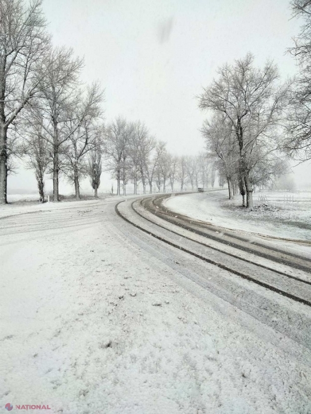 FOTO // Ninsori „abundente” în nordul R. Moldova: Zeci de muncitori și utilaje, antrenante în deszăpezirea drumurilor, iar meteorologii anunță vreme instabilă în continuare