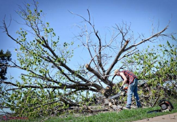 Omenirea a CONSUMAT deja mai multe resurse naturale decât planeta poate asigura pentru întreg anul 2017