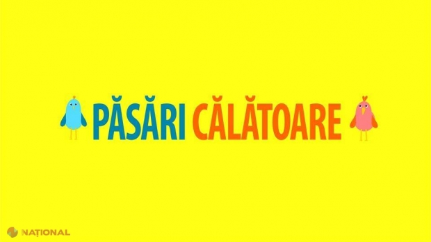 Patru moldovence aflate în străinătate vor lansa un VIDEO BLOG. Printre ele este și Nata Albot