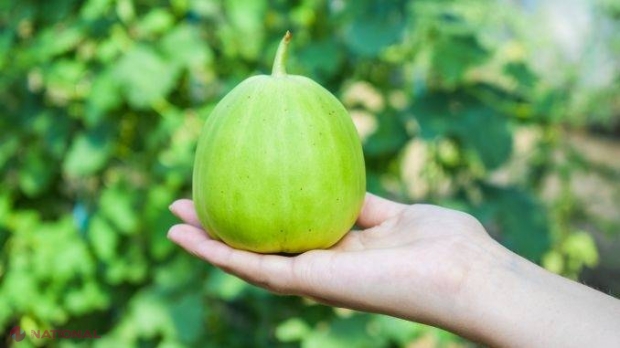 IDEI DE AFACERI: Pepenele „de-o persoană”. Este mai aromat decât harbuzul cu care ne-am obișnuit
