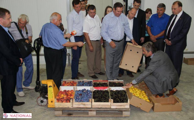 Linie modernă de prelucrare şi ambalare a fructelor, la Olănești