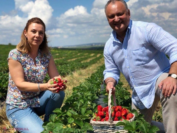 FOTO // Cum arătau POLITICIENII din R. Moldova cu zeci de ani în urmă. Poză rară cu Igor Dodon în căminul studențesc, Plahotniuc alături de părinți și Leancă cu OCHELARI